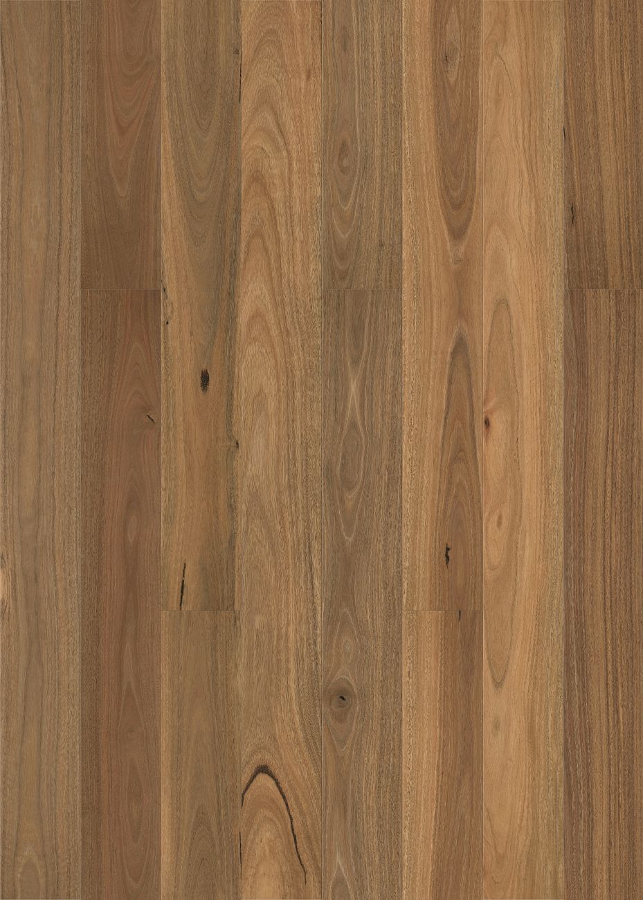 Native Collection Select Grade 15/3mm Smooth Spotted Gum 2004