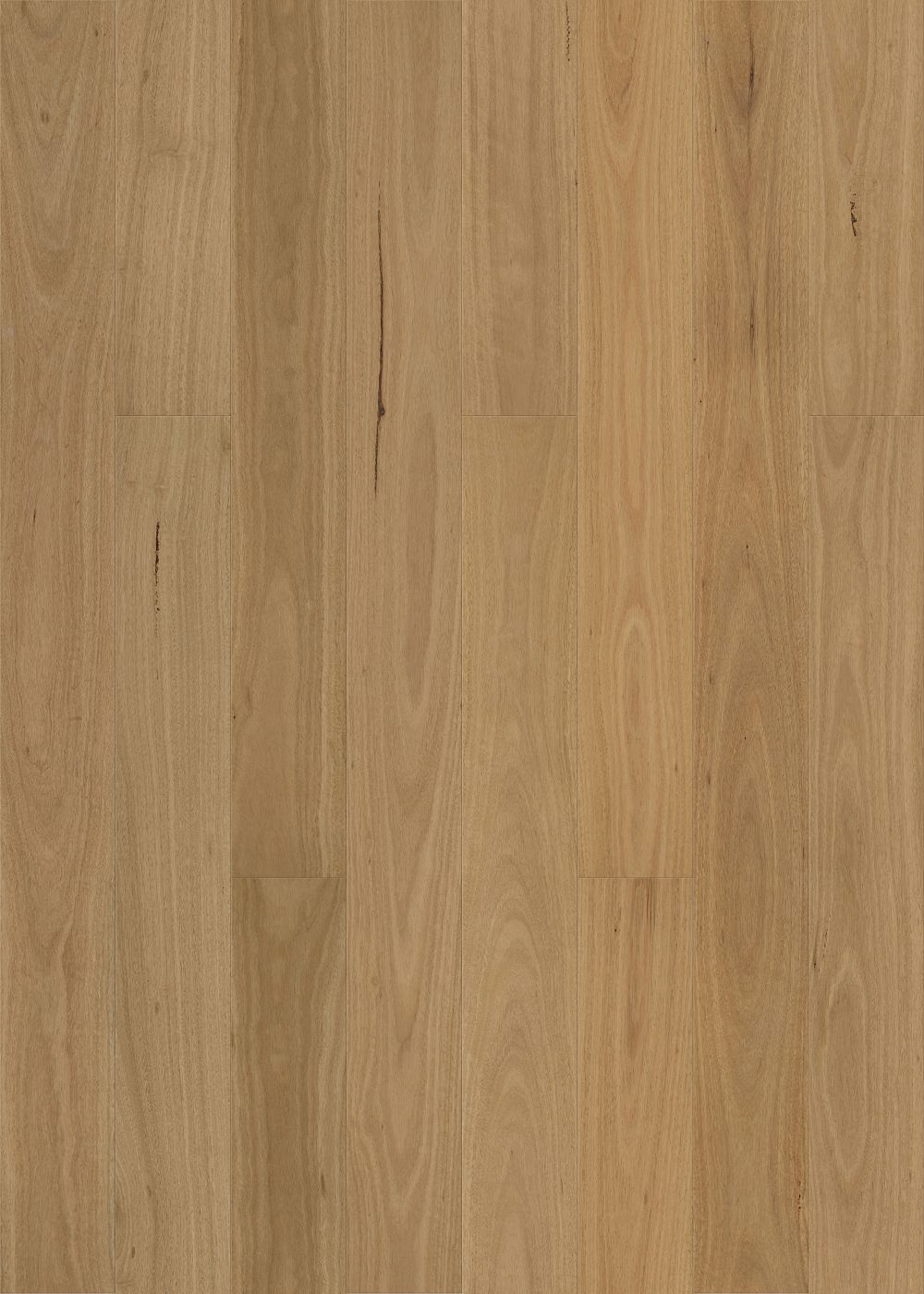 Native Collection Select Grade 15/3mm Smooth Blackbutt 2003