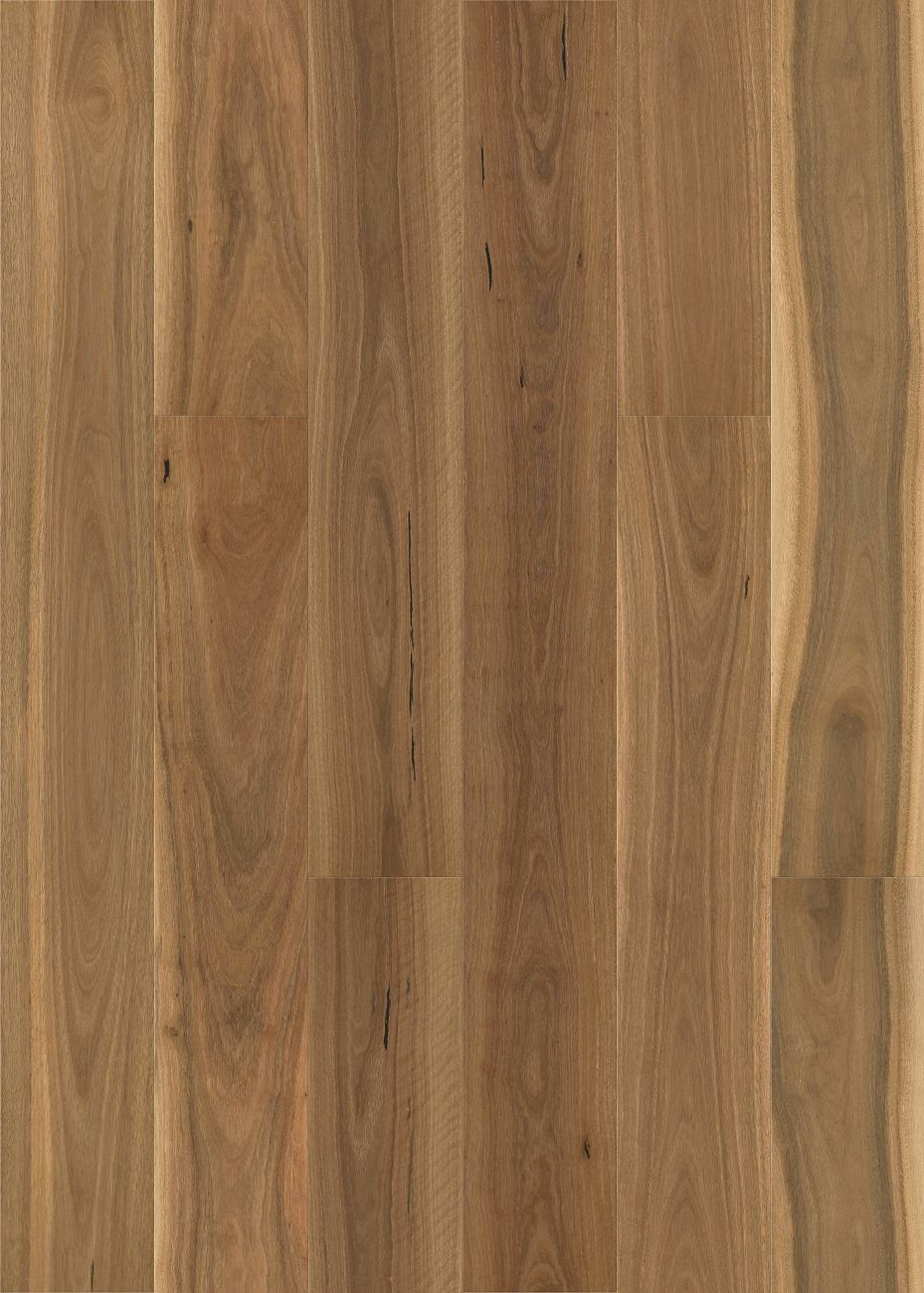 Native Collection Select Grade 15/3mm Brushed Spotted Gum 2002