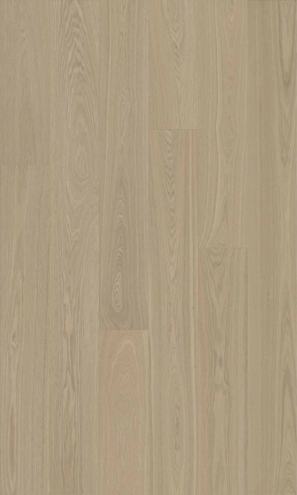Ash Collection Prime Grade 15/3mm Florence 2503
