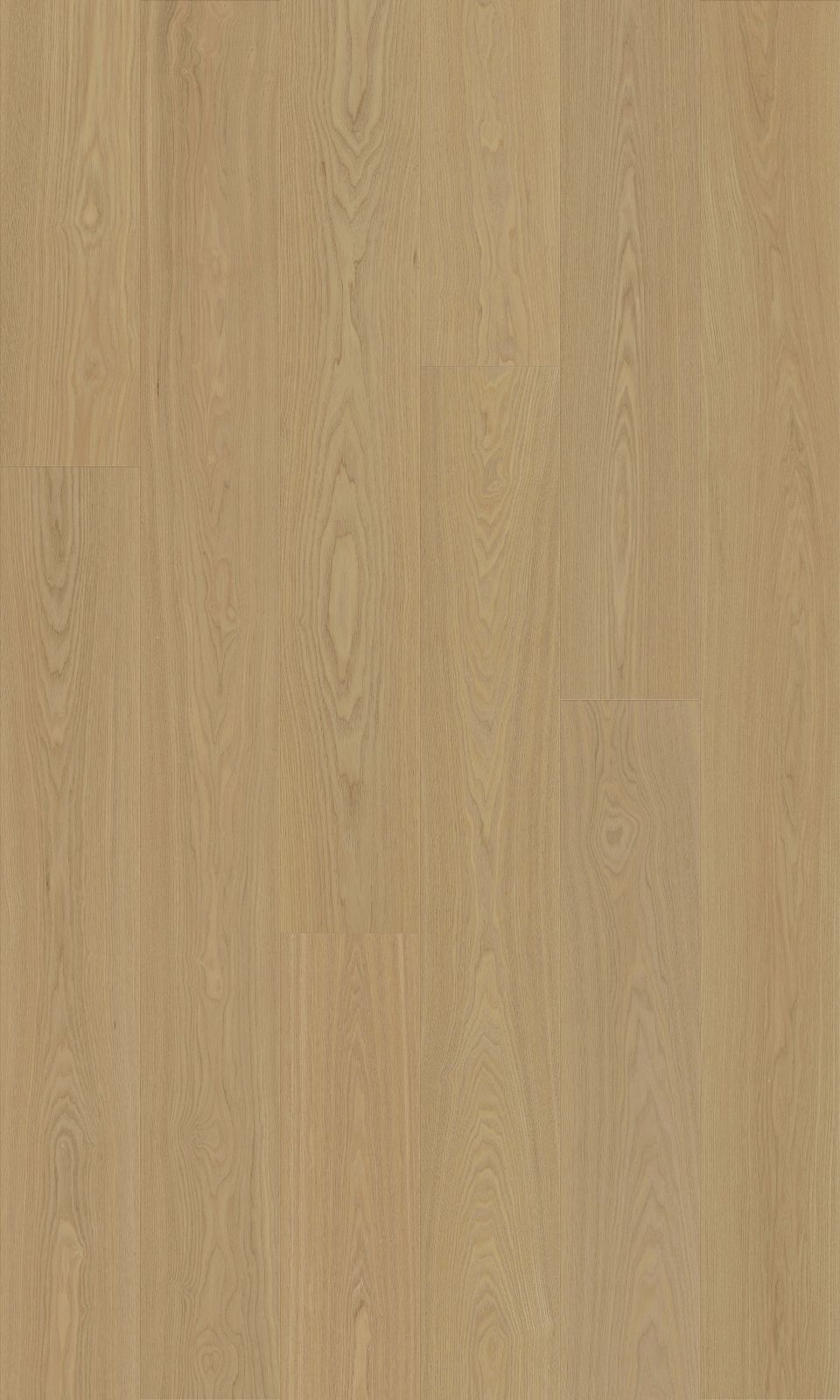 Ash Collection Prime Grade 15/3mm Valencia 2504