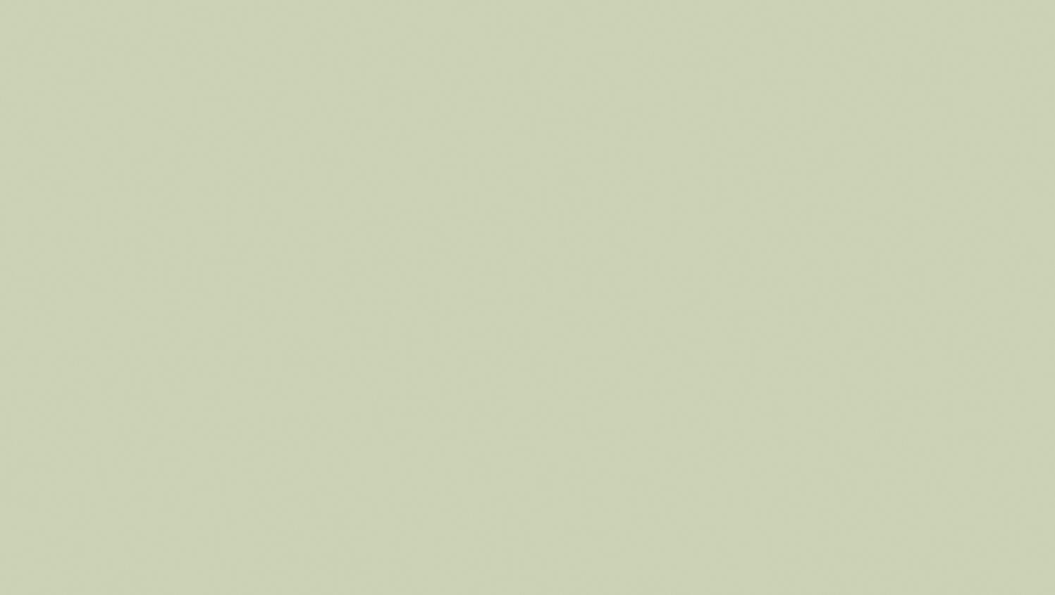 ProtectWALL 1.5mm Uni KAKI