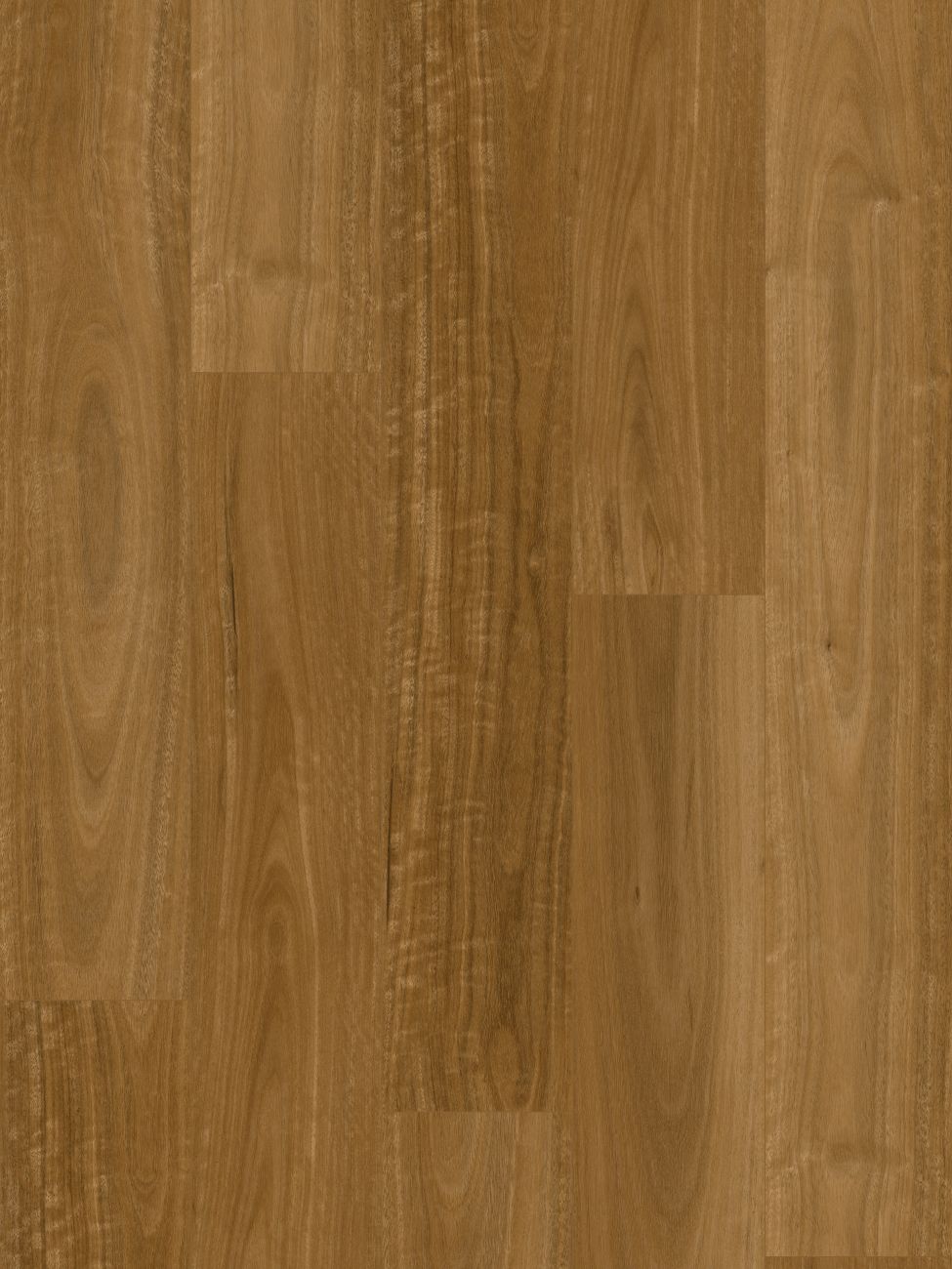 Wonderwood 8mm Hybrid Sunshine Spotted Gum 88301